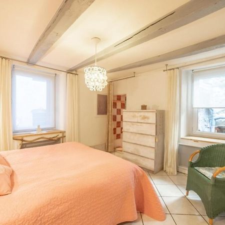 Apartment Classified 3 Stars Located In The Heart Of The Old Town Annecy Dış mekan fotoğraf